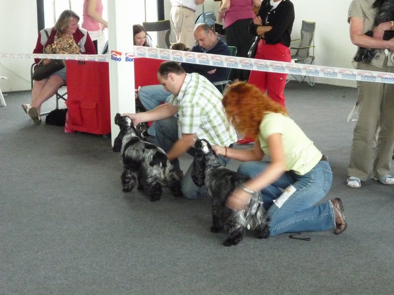 Litomerice 2009 063.jpg